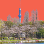 How to save on Tokyo Activities and What Not To Miss