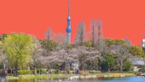 Read more about the article How to save on Tokyo Activities and What Not To Miss